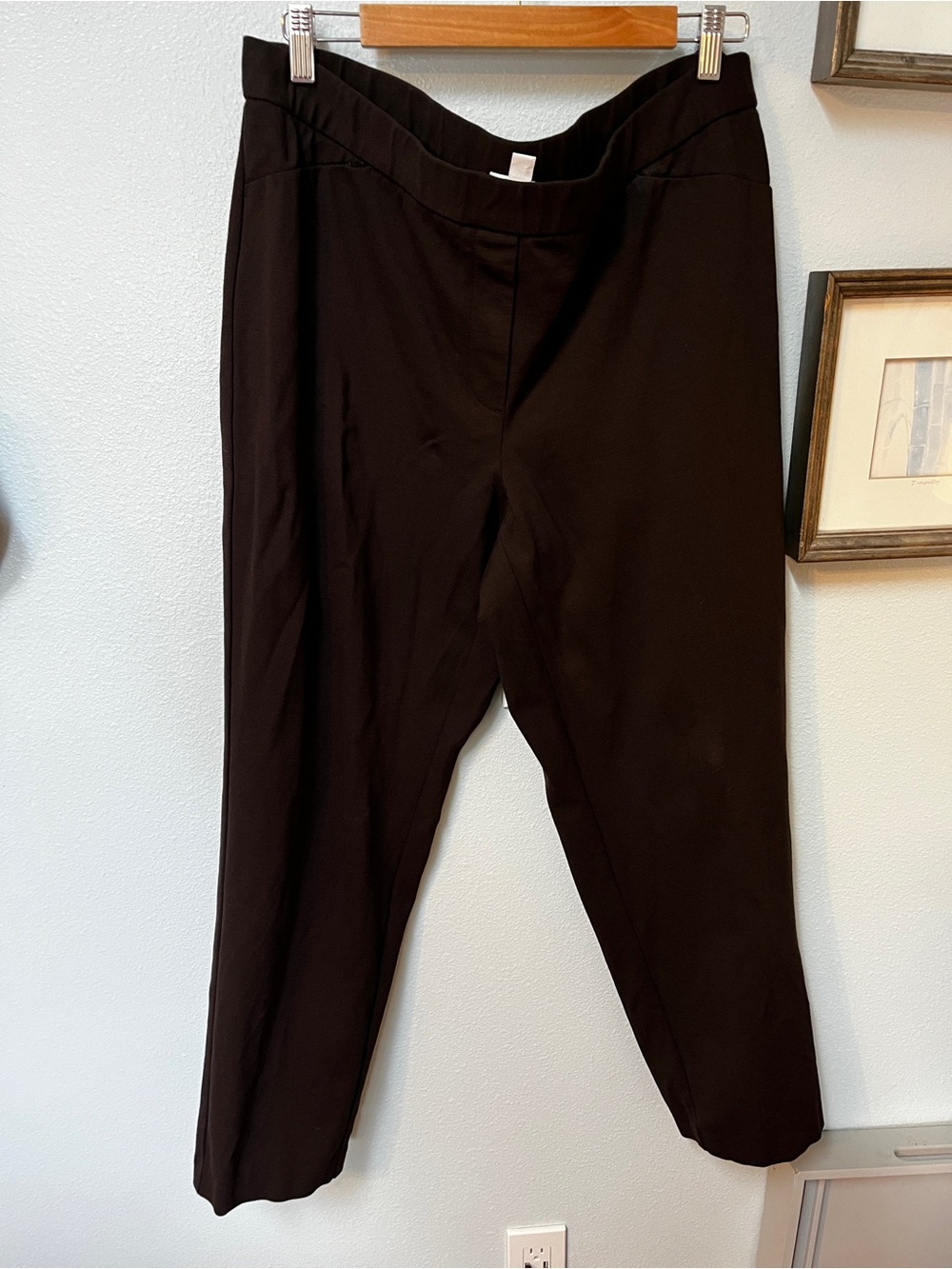 J. Jill Brown Women's Trousers XL